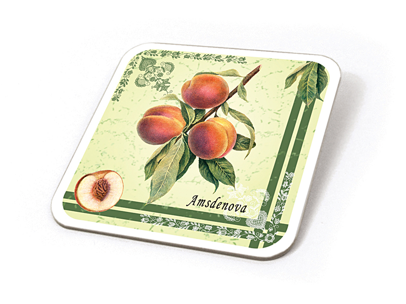 Podtácky "Ovoce z našeho sadu"