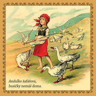 Andulka šafářova